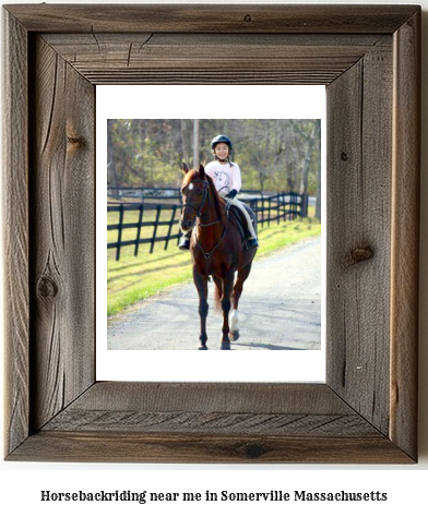 horseback riding near me in Somerville, Massachusetts